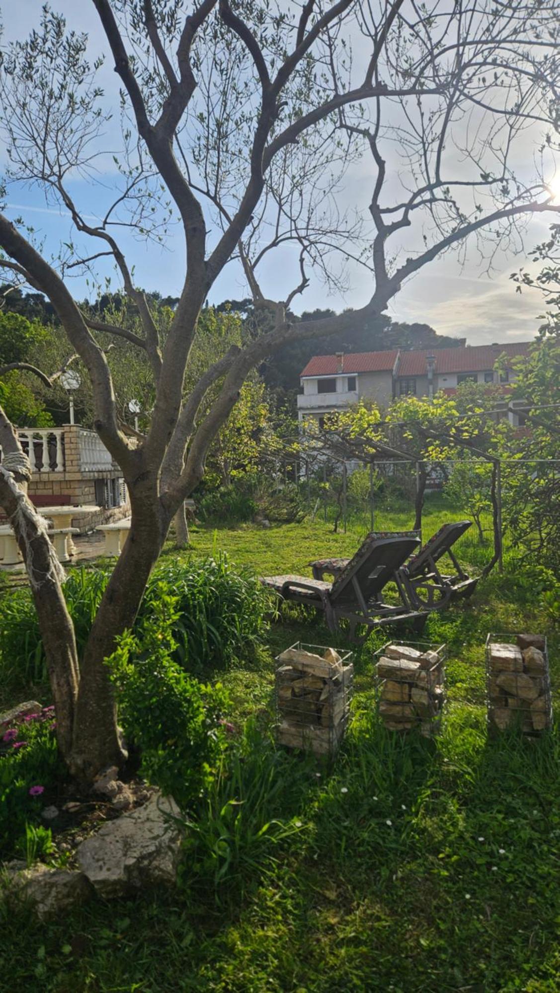 Palma Guesthouse Palit Εξωτερικό φωτογραφία